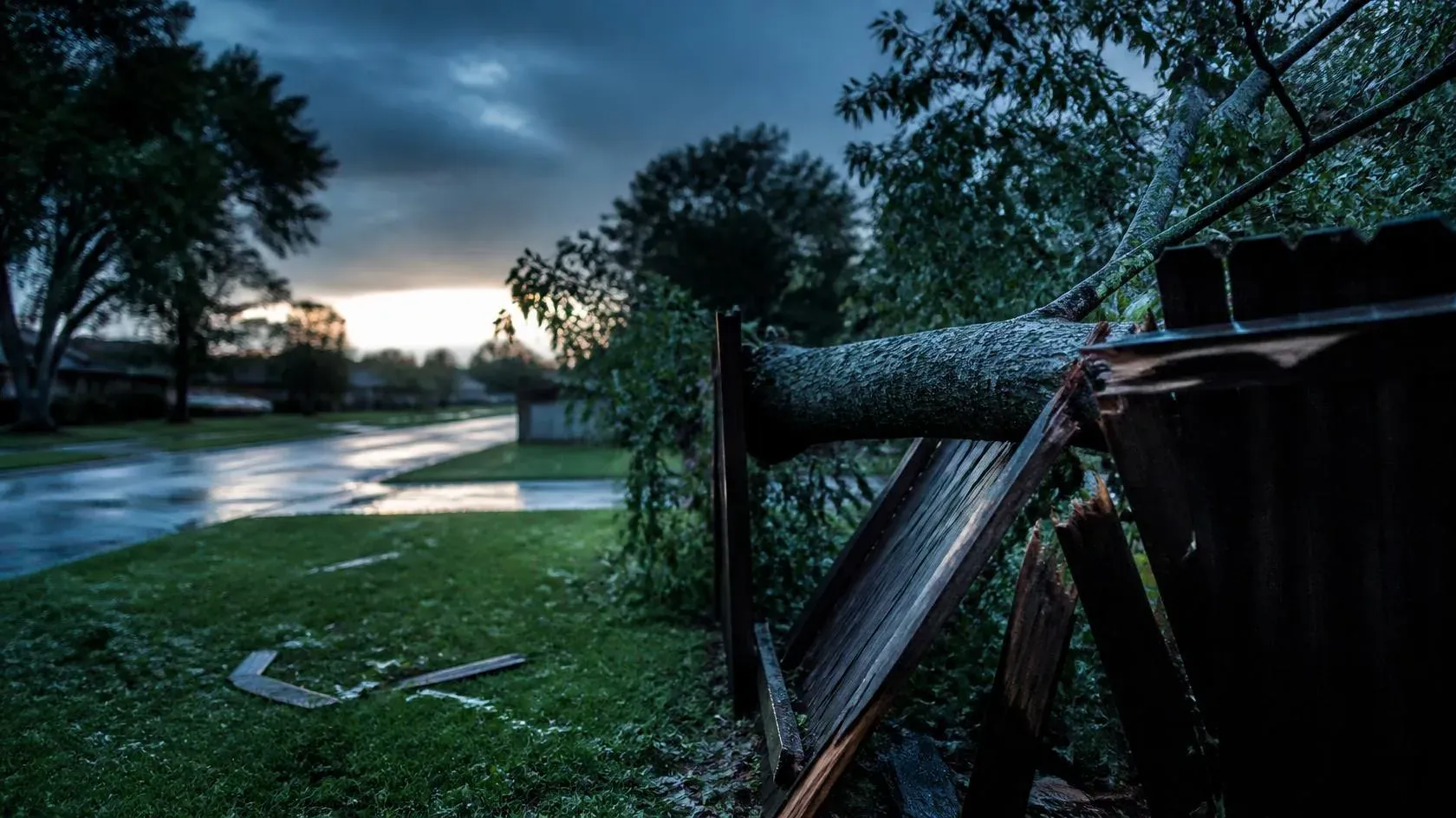 A fallen tree limb across a splintered fence line on a suburban street at dawn, storm clouds clearing behind